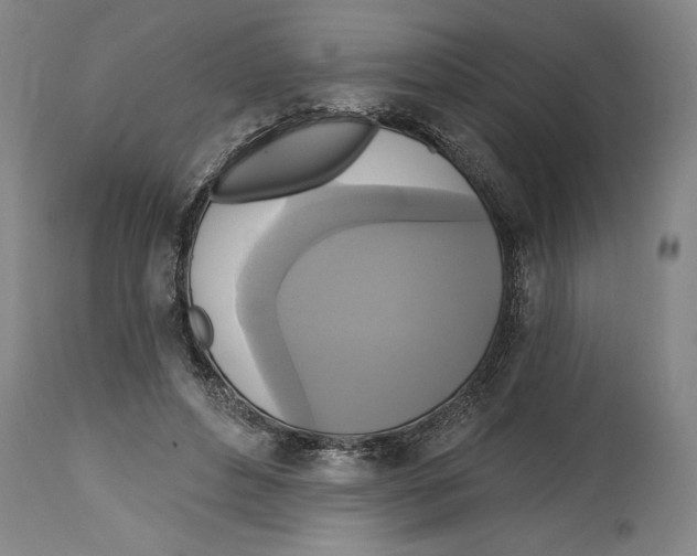 X0000114670496200911181210