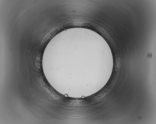 X0000114670497200911181210