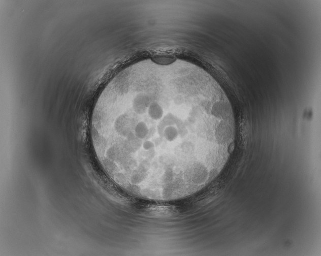 X0000114670499200911181210