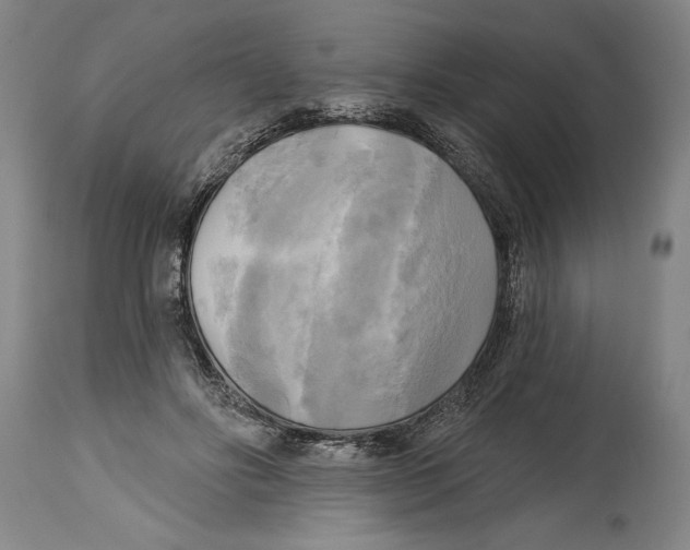 X0000114670502200911181210