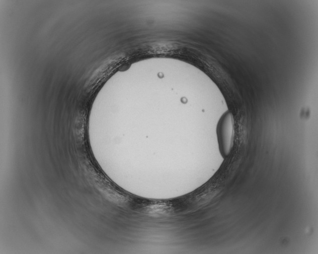 X0000114670505200911181210