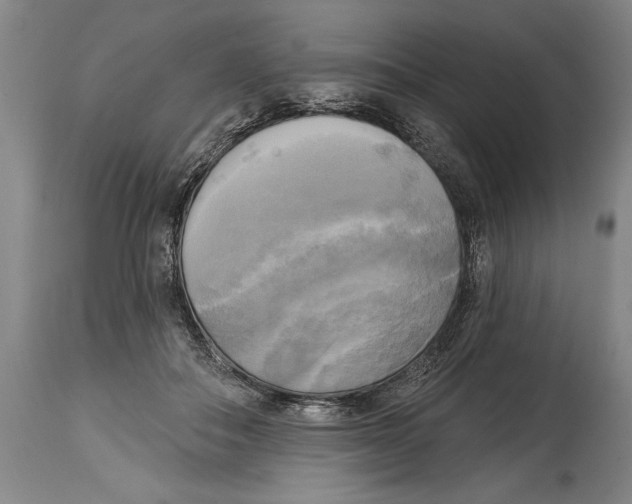 X0000114670506200911181210