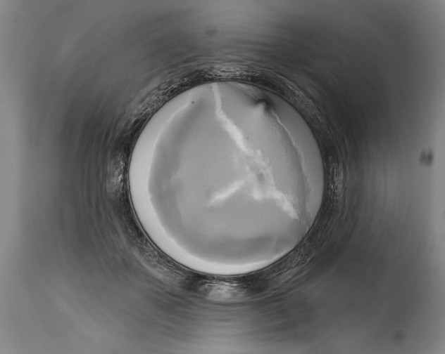 X0000114670507200911181210