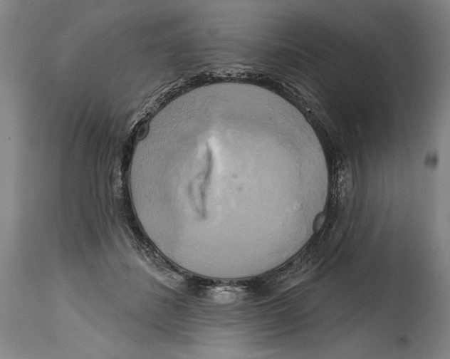 X0000114670508200911181210