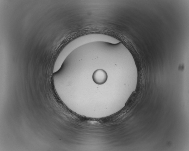 X0000114670509200911181210