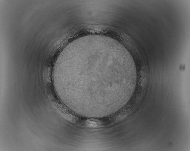 X0000114670510200911181210