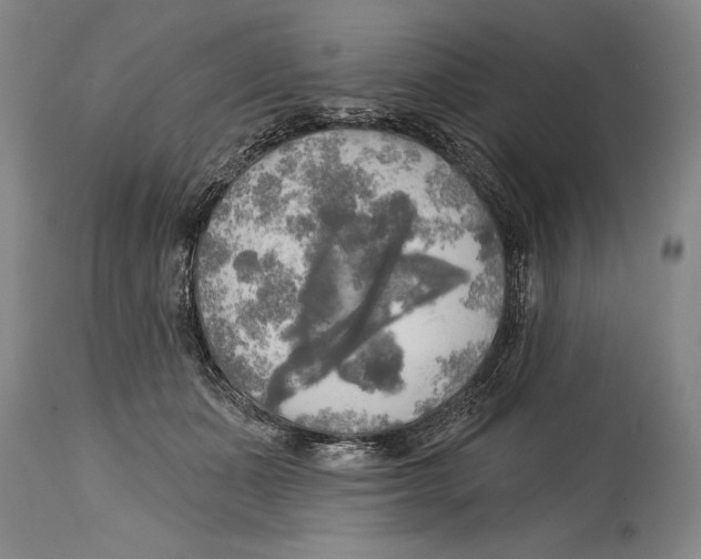 X0000114670511200911181210