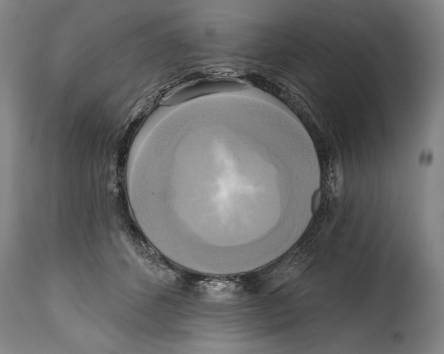 X0000114670512200911181210