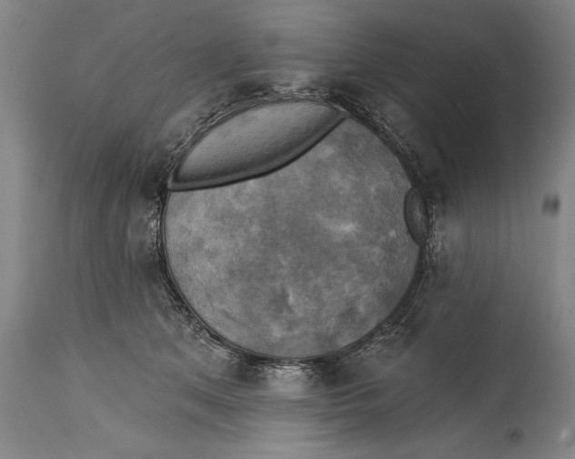 X0000114670513200911181210