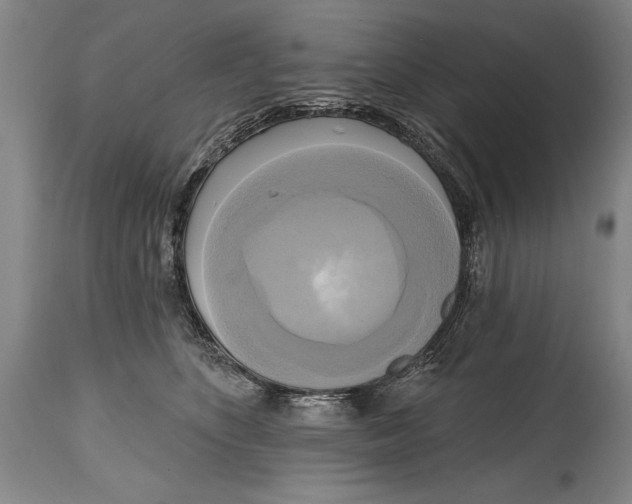 X0000114670516200911181210