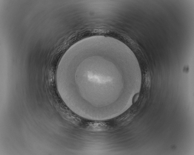 X0000114670517200911181210