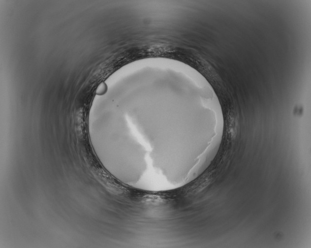 X0000114670519200911181210