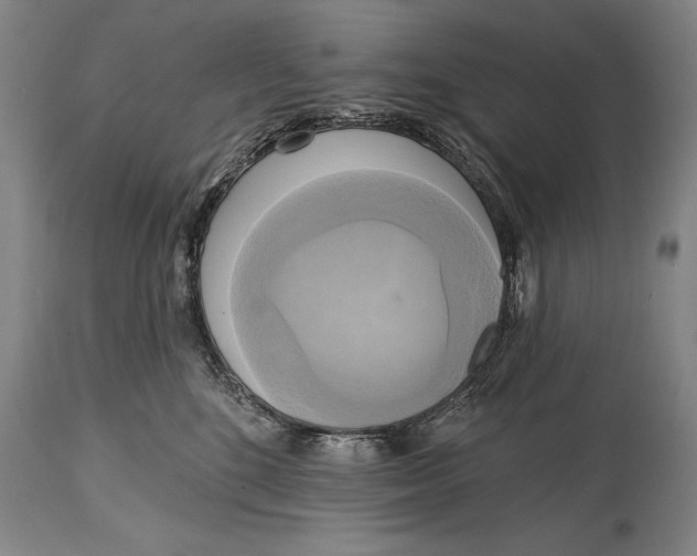 X0000114670520200911181210