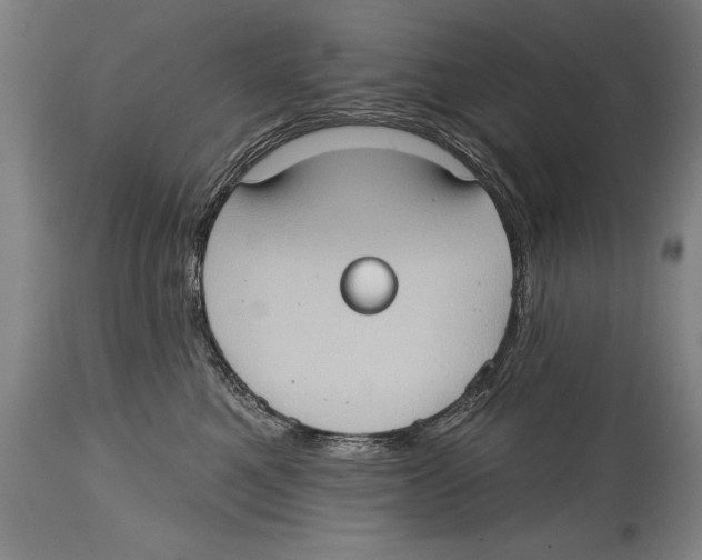 X0000114670521200911181210