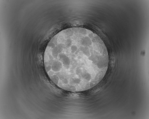 X0000114670523200911181210