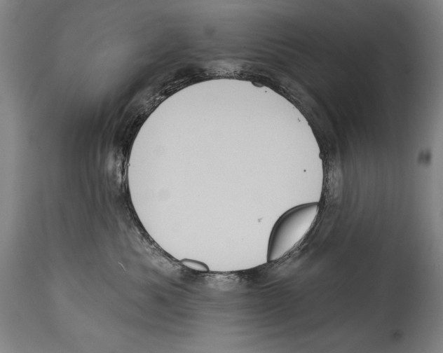 X0000114670525200911181210