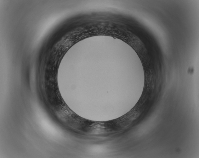 X0000114670526200911181210