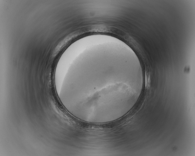 X0000114670531200911181209