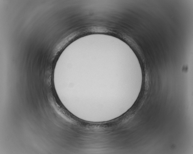 X0000114670533200911181209