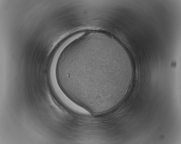 X0000114670534200911181209