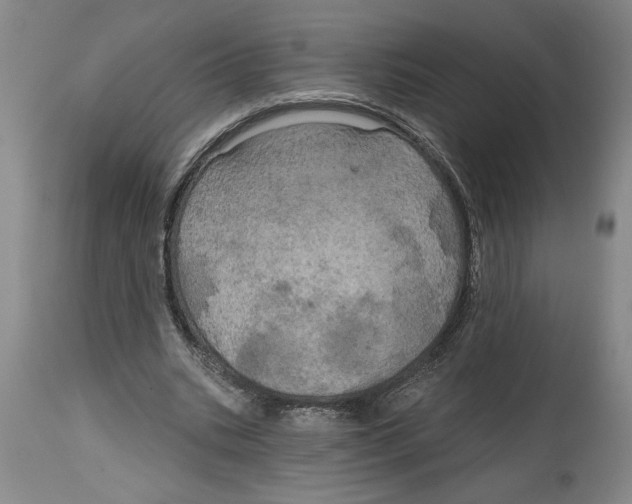 X0000114670535200911181209