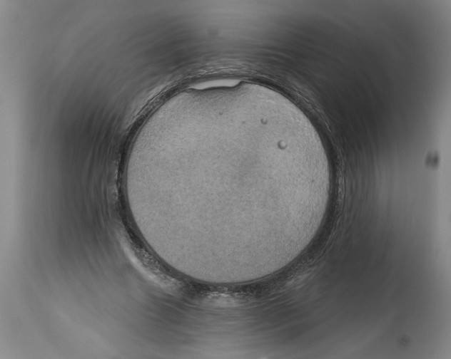 X0000114670538200911181209