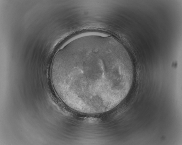 X0000114670539200911181209