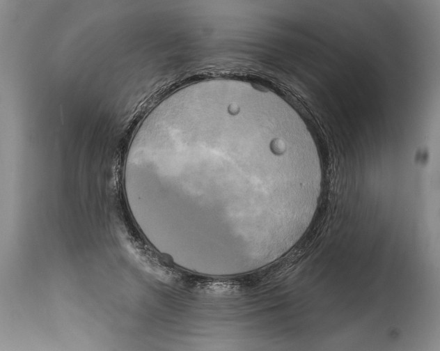 X0000114670546200911181209