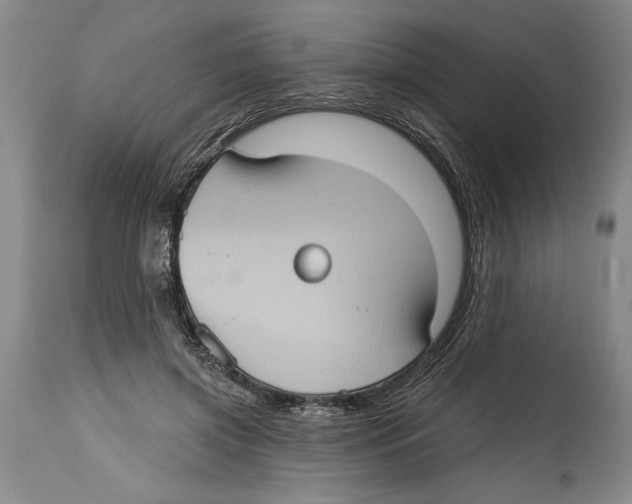 X0000114670549200911181209