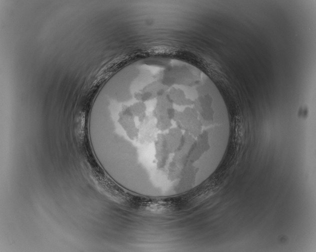 X0000114670550200911181209