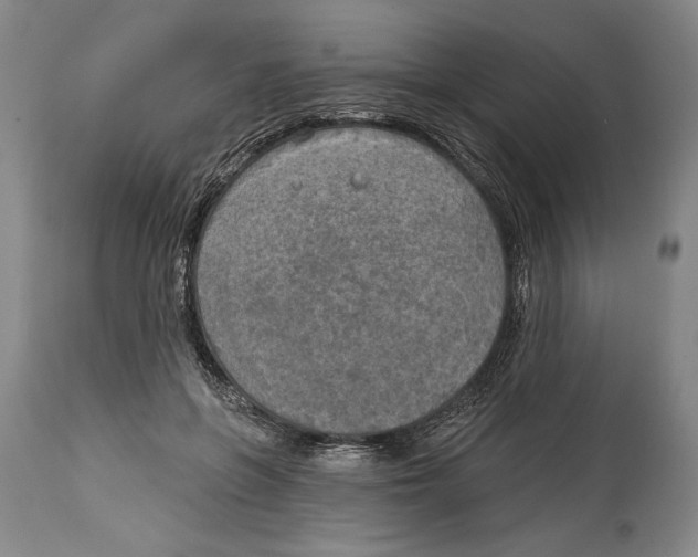 X0000114670551200911181209