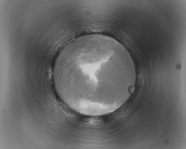 X0000114670555200911181210