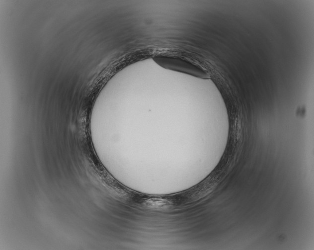 X0000114670557200911181210