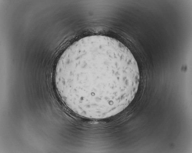 X0000114670558200911181210