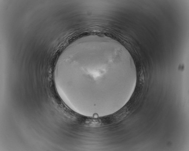 X0000114670559200911181210