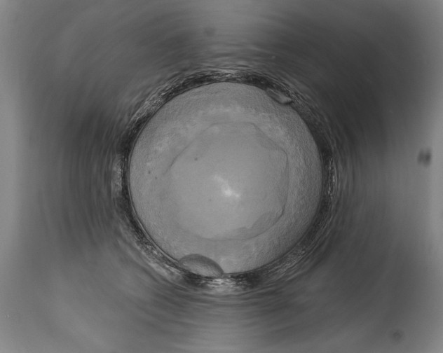 X0000114670562200911181210