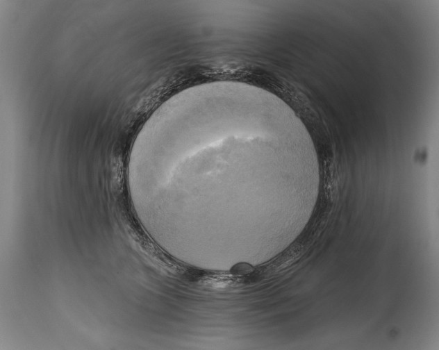 X0000114670563200911181210