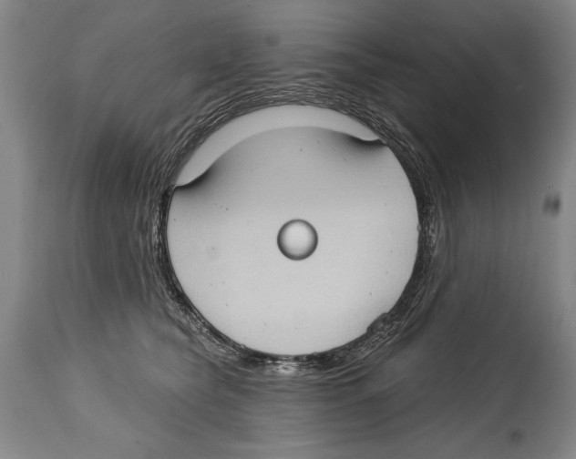 X0000114670565200911181210