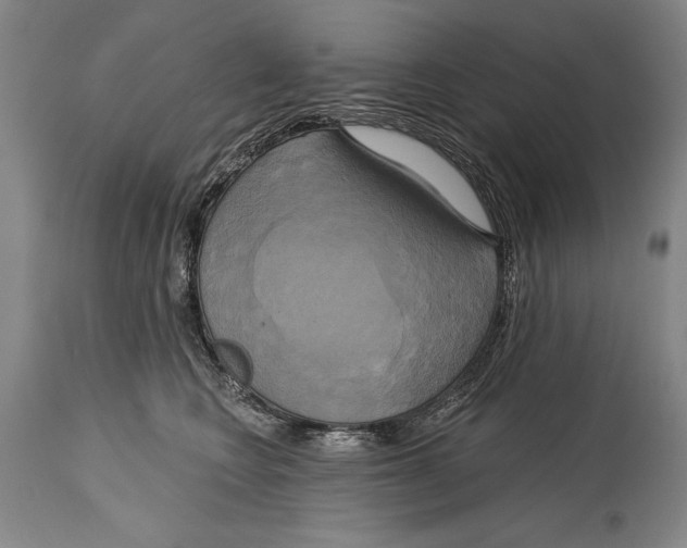 X0000114670566200911181210