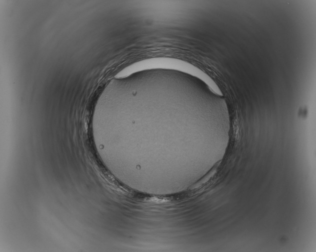 X0000114670570200911181210