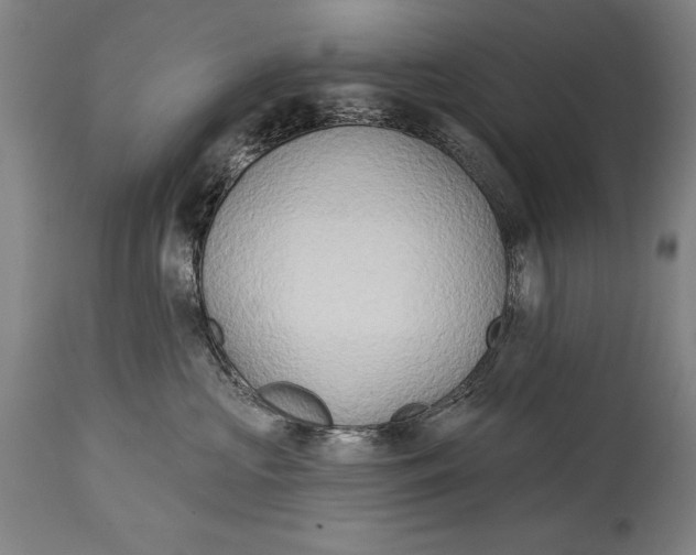 X0000114670573200911181210