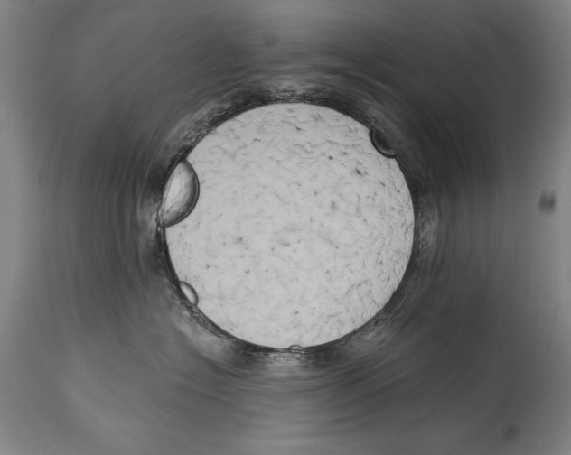 X0000114670574200911181210