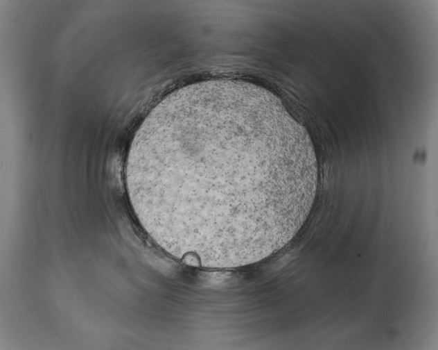 X0000114670575200911181210