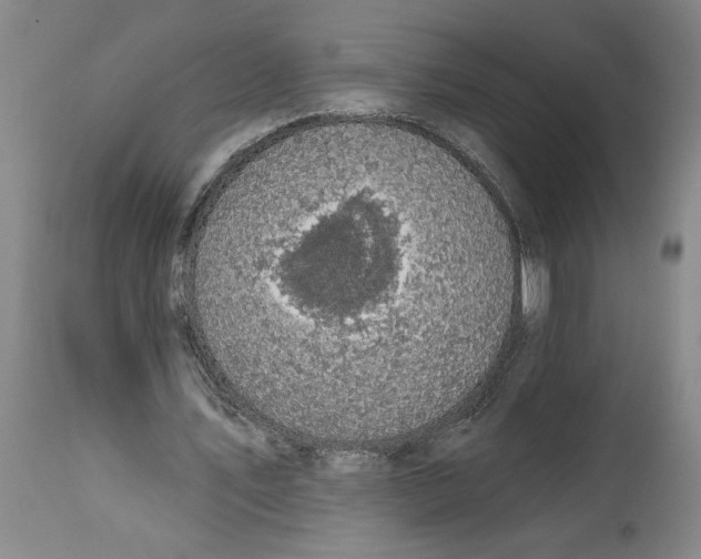 X0000114670579200911181209