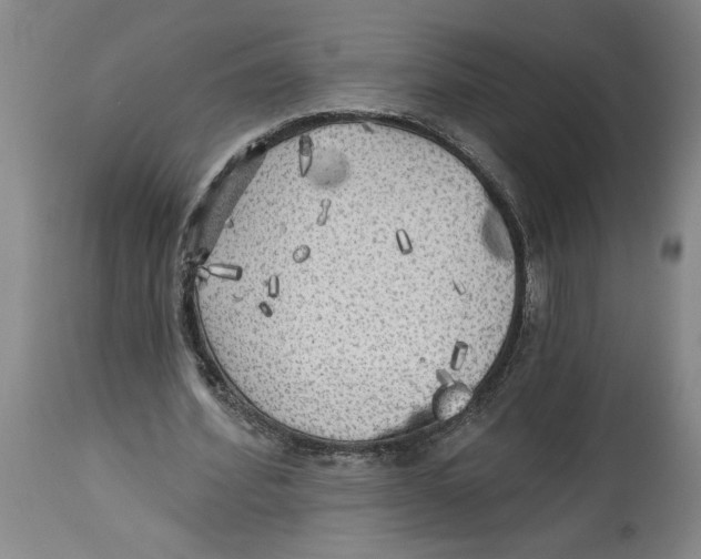 X0000114670580200911181209