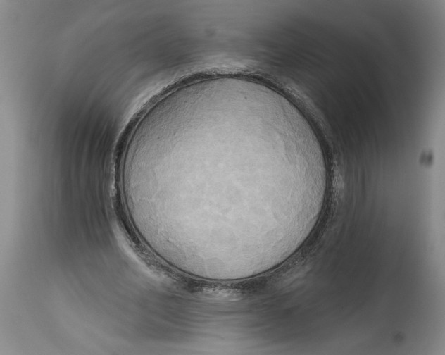 X0000114670582200911181209