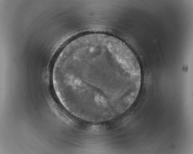 X0000114670584200911181209