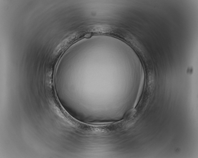 X0000114670585200911181209