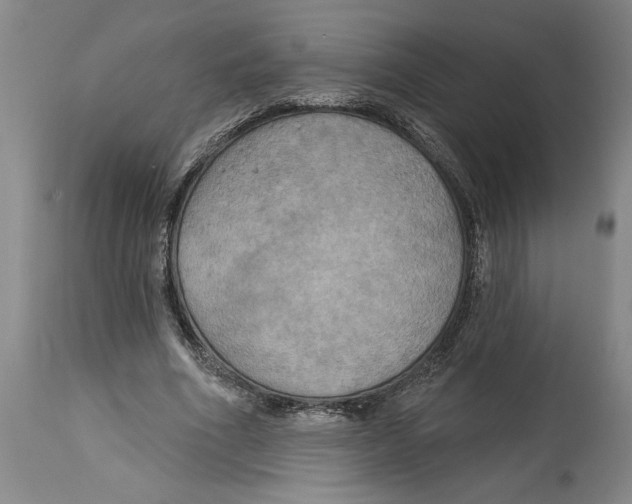 X0000114670586200911181209