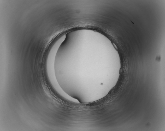 X0000114670587200911181209